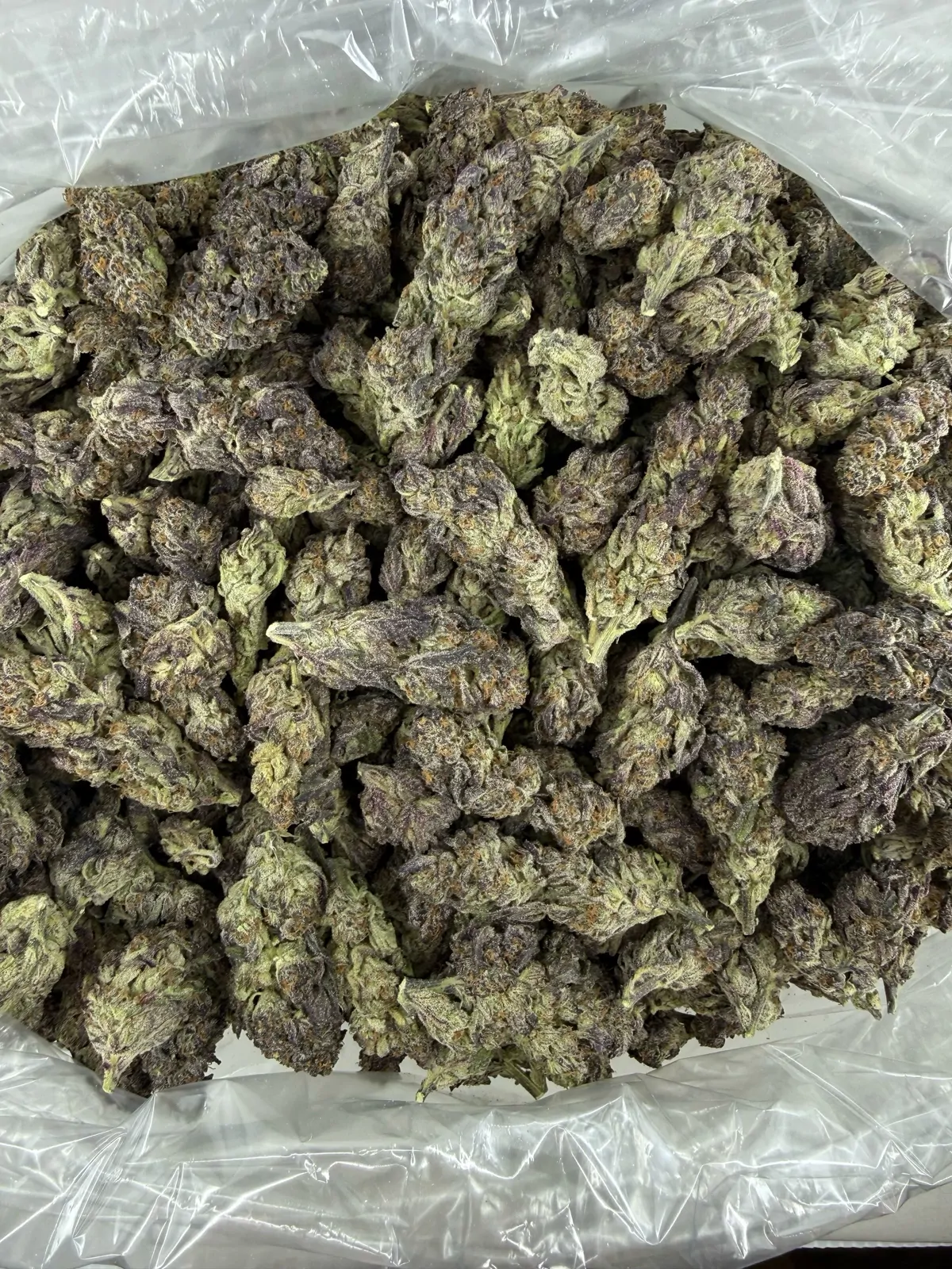 Gushers Flower